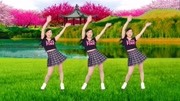 玫香广场舞《多想抱抱你》学跳广场舞一步一