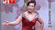 河南坠子大全下载免费《少侠包公案》第二部
