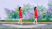 广场舞视频免费下载《鸟儿对花说》背面演示