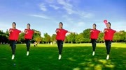 广场舞教程初级舞步下载《花桥流水》阿哥阿