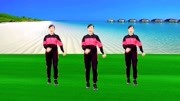 玫香广场舞《爱谁谁DJ》学跳广场舞一步一步