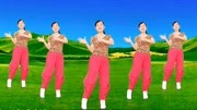 玫香广场舞《慢慢爱》8步广场舞一步一步教