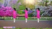 广场舞教学视频大全下载《又见两只蝴蝶飞》