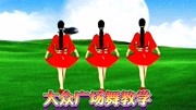 广场舞教程初级舞步分解动作《情歌对唱DJ》