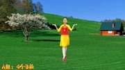 广场舞教程视频大全免费下载《等到花儿开》