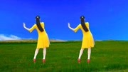 初学广场舞入门教程《等到花儿开》清晰背面
