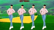 广场舞教学视频下载mp4《慢慢爱》演唱杭娇 