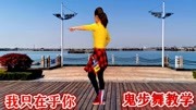 初学广场舞入门教程《我只在乎你》经典老歌