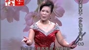 河南坠子免费下载网站《少侠包公案》第二部