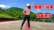 广场舞教学视频下载大全高清《背面教学》老