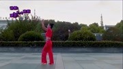广场舞教学视频大全免费下载《小啤酒》慢动
