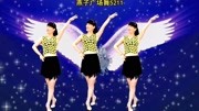 广场舞教学视频下载大全高清40步桑巴舞《快