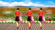 广场舞教学视频下载大全mp4《南泥湾》入门