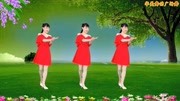 广场舞教学视频基础步《一生无悔》适合在家