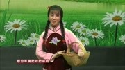 眉户戏大全视频下载《阳春儿天秋燕去田间》