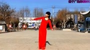 新生代广场舞专辑视频免费mp4下载《纤夫的