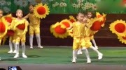 六一幼儿园舞蹈《中国美》教学视频下载大全