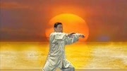 太极教学零基础视频免费下载 陈式太极拳18式教程陈小旺下载
