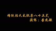 太极拳入门教程视频下载 传统杨氏太极拳八十五式下载