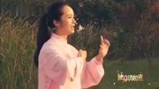 太极拳入门教程视频下载 八段锦标准动作第
