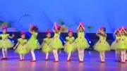幼儿舞蹈教学基本步骤《花开》免费下载mp4