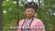 黄梅戏视频下载免费《云楼会》我不免卖身为