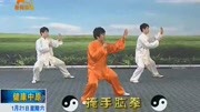 太极教学零基础视频免费下载 21 郑冬霞 陈氏太极拳老架一路教学（29至47式）复习下载