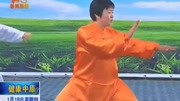 太极拳入门教学视频免费下载19 郑冬霞 陈氏太极拳老架一路教学（71至74）下载