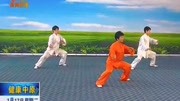 太极拳视频教程大全 17 郑冬霞 陈氏太极拳老架一路教学（64至66）下载