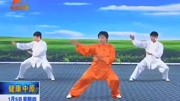 太极拳视频教程大全 05 郑冬霞 陈氏太极拳老架一路教学（16至18）下载