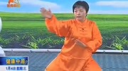 太极拳入门教程视频下载 04 郑冬霞 陈氏太