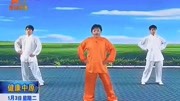 太极拳视频教程大全 03 郑冬霞 陈氏太极拳老架一路教学（8至11）下载