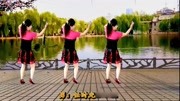吕芳广场舞 《唱一首情歌》正背面及分解动作 初学广场舞入门视频下载