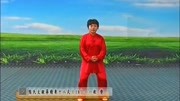 太极拳入门基本功视频下载 18 郑冬霞 陈氏