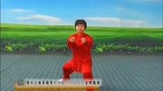 太极拳入门基本功视频下载 17 郑冬霞 陈氏