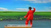 太极拳教学视频免费下载 14 郑冬霞 陈氏太