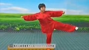 太极拳入门教学视频免费下载 13 郑冬霞 陈