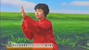 太极拳视频教程大全 10 郑冬霞 陈氏太极拳