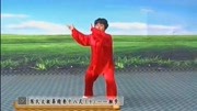太极拳视频教程大全09 郑冬霞 陈氏太极拳精
