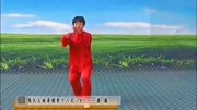 太极拳视频教程大全08 郑冬霞 陈氏太极拳精