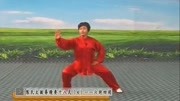 太极拳入门基本功视频下载 04 郑冬霞 陈氏