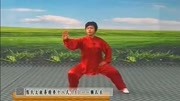 太极拳入门基本功视频下载 03 郑冬霞 陈氏