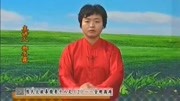 太极拳入门教程视频下载 02 郑冬霞 陈氏太
