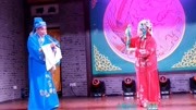 评剧mp4免费下载《花为媒》选段《姐弟重逢