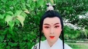 黄梅戏下载免费mp3打包下载《天仙配》选段