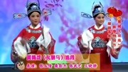 黄梅戏视频下载免费《女驸马》为救李郎离家