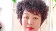 茂腔戏曲大全下载《郑月素跪查院》免费下载