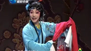 经典川剧mp3免费下载《李亚仙》选段 句句都