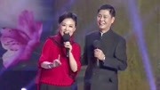 黄梅戏mp4打包下载《十五的月亮为谁圆》演
