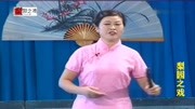 河南坠子mp4 免费下载《何文秀私访》唱的真